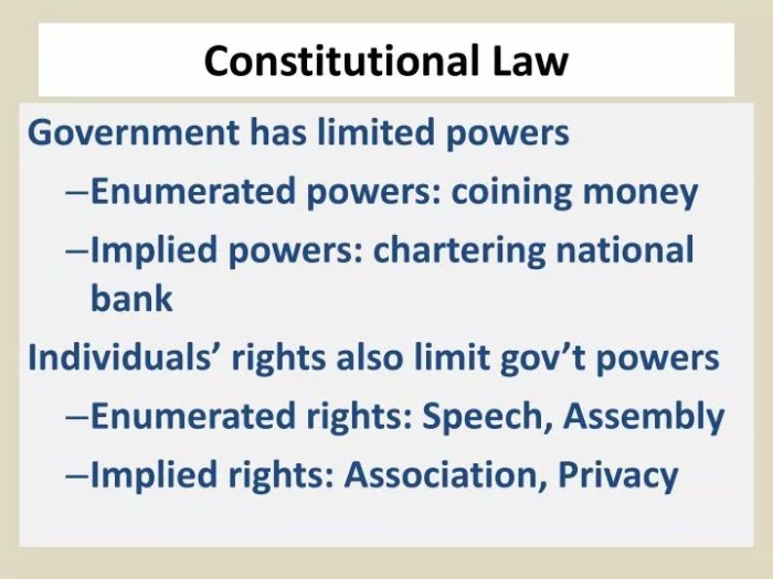 Law constitutional lecture