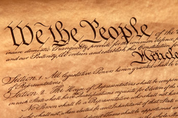 Constitutional law constitution definition
